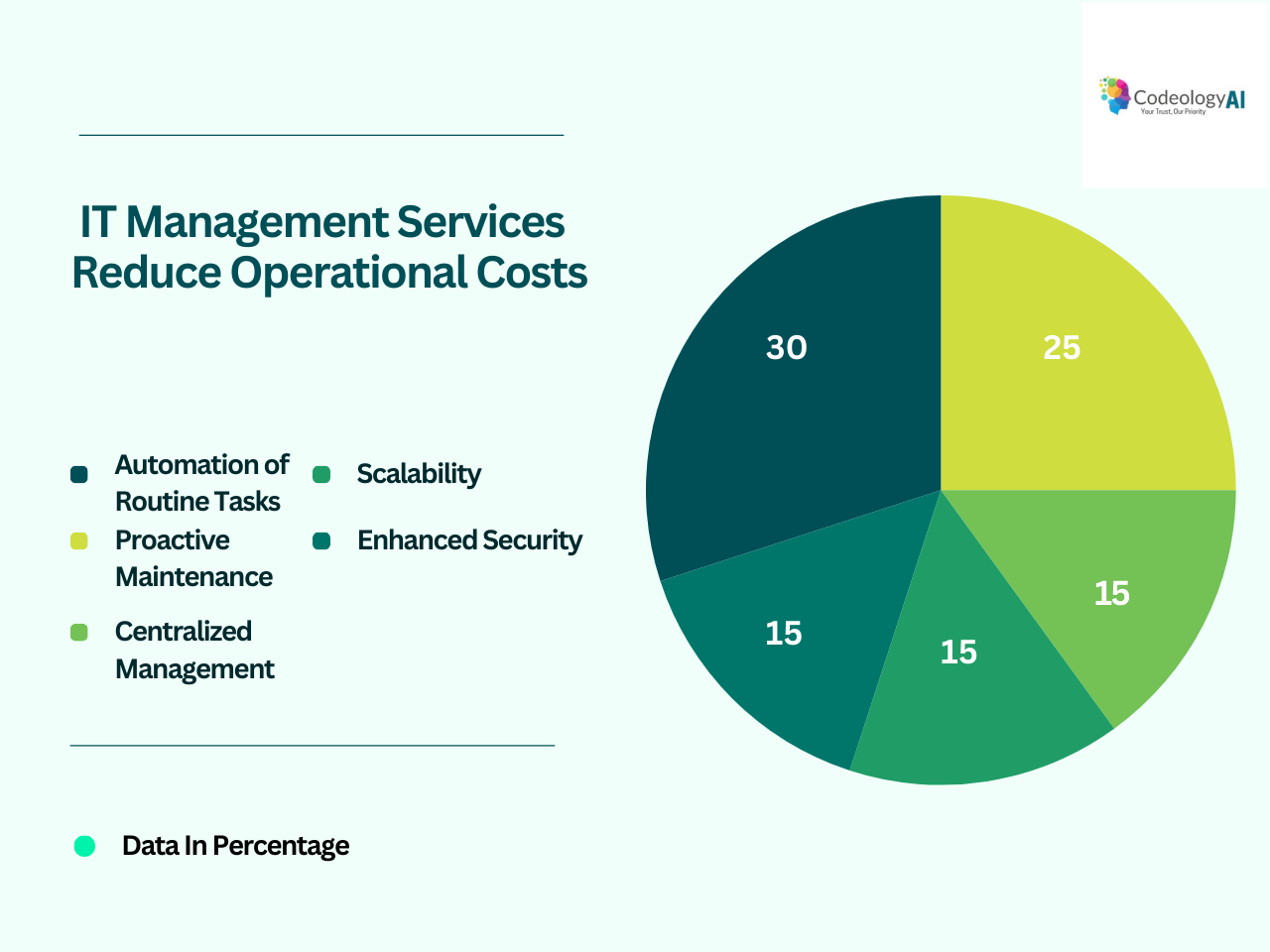 IT Management Services